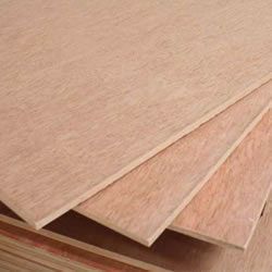 Commercial Plywood